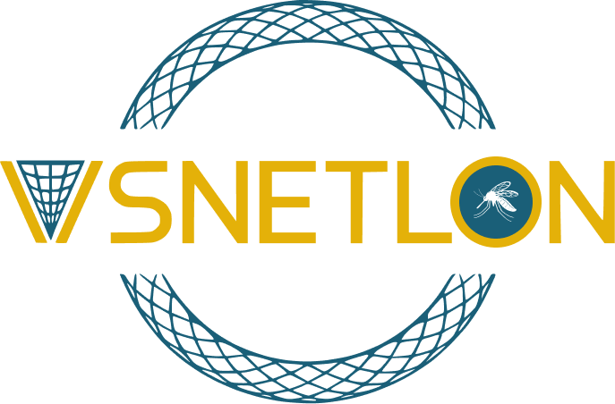 VSNETLON Logo